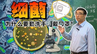 细菌对人类有什么作用？为什么要勤洗手、戴口罩？