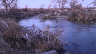 Winchester Blind Side Dream Hunt 2013