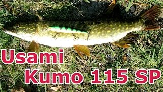 Usami Kumo 115 SP