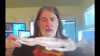 Message From Dr. Richard Bartlett