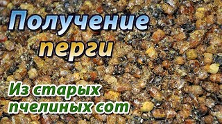 Получение перги из старых пчелиных сот на моей пасеке.