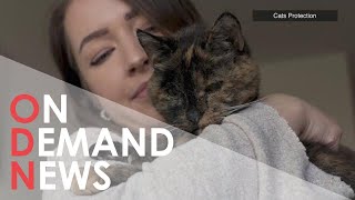 Meet Flossie - the world’s oldest cat!