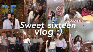 SWEET 16 BIRTHDAY VLOG!!| Daryn Janae