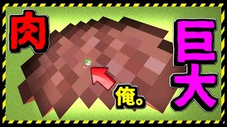 [マインクラフト] 体を埋め尽くす巨大な肉。 [マイクラ実況] [ラッキーブロックラッキーブロックmod]