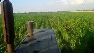 ЮМЗ-6 турбо окучивание кукурузы / JUMZ- 6 turbo earthing up of corn