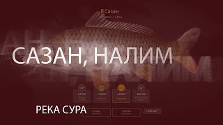 РР4! RF4! Русская Рыбалка 4! Река Сура - Сазан!
