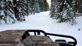 Argo HDI winter ride with Escargo tracks on cut lines and climbing over a log deck of frozen pine.