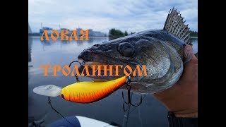 Рыбалка с лодки в Тверской области.
