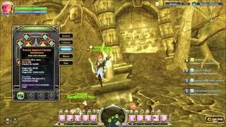 Dragon Nest SEA Level 40 Force User (Mystic) stats and skill build