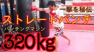 【ストレート・パンチ】
パンチングマシンで320㎏だせる
ようになった、極真空手で身につけた《一撃の極意》と《練習方法》を限定公開します！