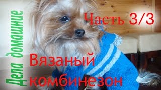Как связать комбинезон для собаки своими руками.Часть 3.