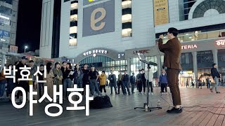 관객들 경탄한 미친 고음.. 박효신 - 야생화 (양경민 버스킹)