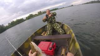 Ловим сома на квок! Река Дон, город Константиновск 13.07.2019 г.