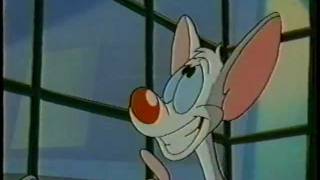Kids WB Brain Drain