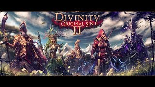 Divinity: Original Sin 2 #20: Вор-Соло, серия про то как надо мазать...