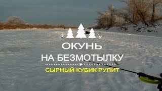 ОКУНЬ НА БЕЗМОТЫЛКУ!!! Сырный кубик рулит!!! Река Тобол.