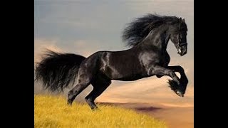 Would I try Pony play?