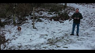 Birthday Adventure with Pria (1.27.20 - Day 2036)