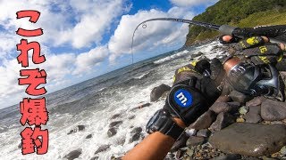 【北海道釣り旅】大量の巨大サケが沸く海にルアー投げたら爆釣！！！#11