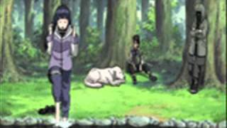 Evolution of Hinata