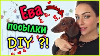 VLOG ♥ ГУЛЯЕМ С ЕВОЙ, РАСПАКОВКА ПОСЫЛОК, DIY - ЧТО МОЖНО СДЕЛАТЬ ИЗ НЕНУЖНОЙ ОДЕЖДЫ?