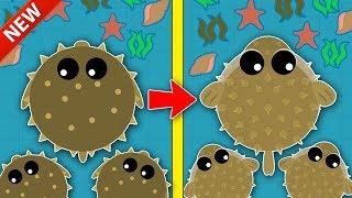 MOPE.IO / NEW RARE PUFFERFISH UPDATE TO MOPE GAMEPLAY! / PUFFER FISH ARMY ATTACKS OCEAN TROLLING!