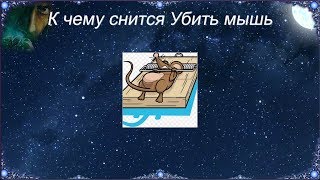 К чему снится Убить мышь (Сонник)