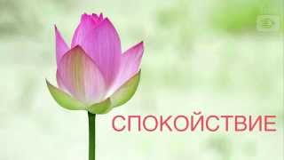 Спокойствие: медитация и самолечение. Омиротворение и релаксация. (Ясен Николов)