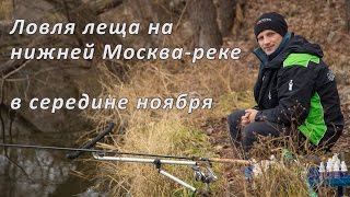 Ловля леща на реке в ноябре