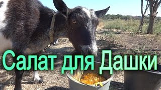 Салат для Дашки