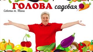 Голова садовая - Выращиваем лук без хлопот