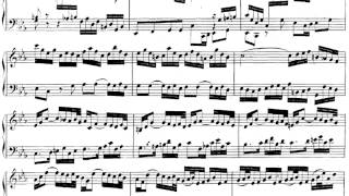 [David Fray] Bach-Toccata & Partita, Live recording (HD)