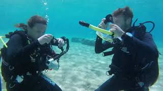 Equipment Exchange in your Divemaster Course at Go Pro Blue Magic Scuba