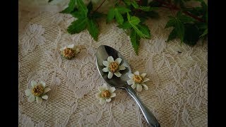 How to pipe chamomile 豆沙裱花洋甘菊