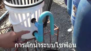 แปลงผักอัตโนมัติระบบไซฟ่อน Siphon
