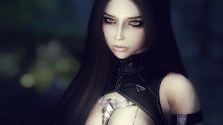 Skyrim mod review 2016. Ris and Sverden Followers. [60FPS|1080p]