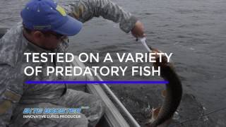 Fishing lure for salt and fresh water - Bite Booster