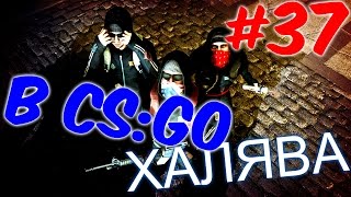 ХАЛЯВА В CS:GO | БЕСПЛАТНЫЕ СКИНЫ #37 (МАЙ-2016)