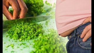 Stomach bloating: Eating this herb could reduce your pain and swelling