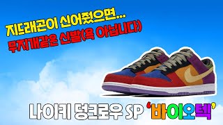 버질아블로 슈즈 나이키 덩크로우 sp 바이오텍 언박싱(Virgil Abloh Shoes Nike Dunk Low SB Viotech Unboxing)