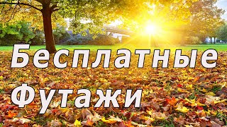 Осенний футаж, осенний фон для видео, футаж, интро без слов