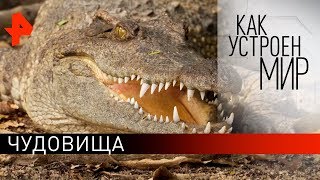 Чудовища. "Как устроен мир" с Тимофеем Баженовым (31.05.19).