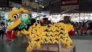2019年第一届全国傳統南獅獅王爭霸賽~無拉港杯 #甲洞弘德體育會