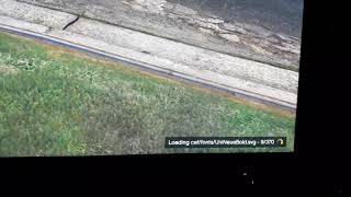Проблема с запуском GTA V RedAge сервера. Rage mp не загружает файлы (РЕШЕНИЕ)