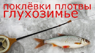 Поклёвки плотвы. Глухозимье. Зарисовки.