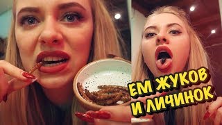 ЕМ ЖУКОВ И ЛИЧИНОК! ФАН-ВСТРЕЧА ШКОЛА