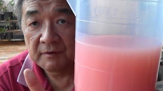 Shampoo com Cera para Carro - Como Fazer