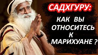 Садхгуру, как вы относитесь к курению марихуаны? Садхгуру на Русском