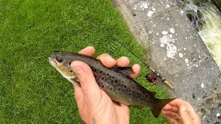 Fishing: catching brown trout on Bivi lure from DUO in Royal Canal. Рыбалка: форель на воблер.