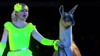 Бродячие артисты - Band ODESSA